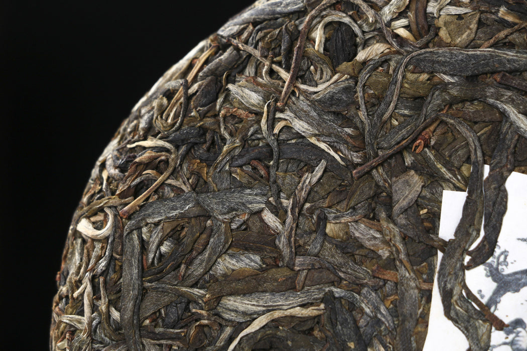 2026 Yunnan Sourcing "Ku Zhu Shan" Raw Pu-erh Tea Cake