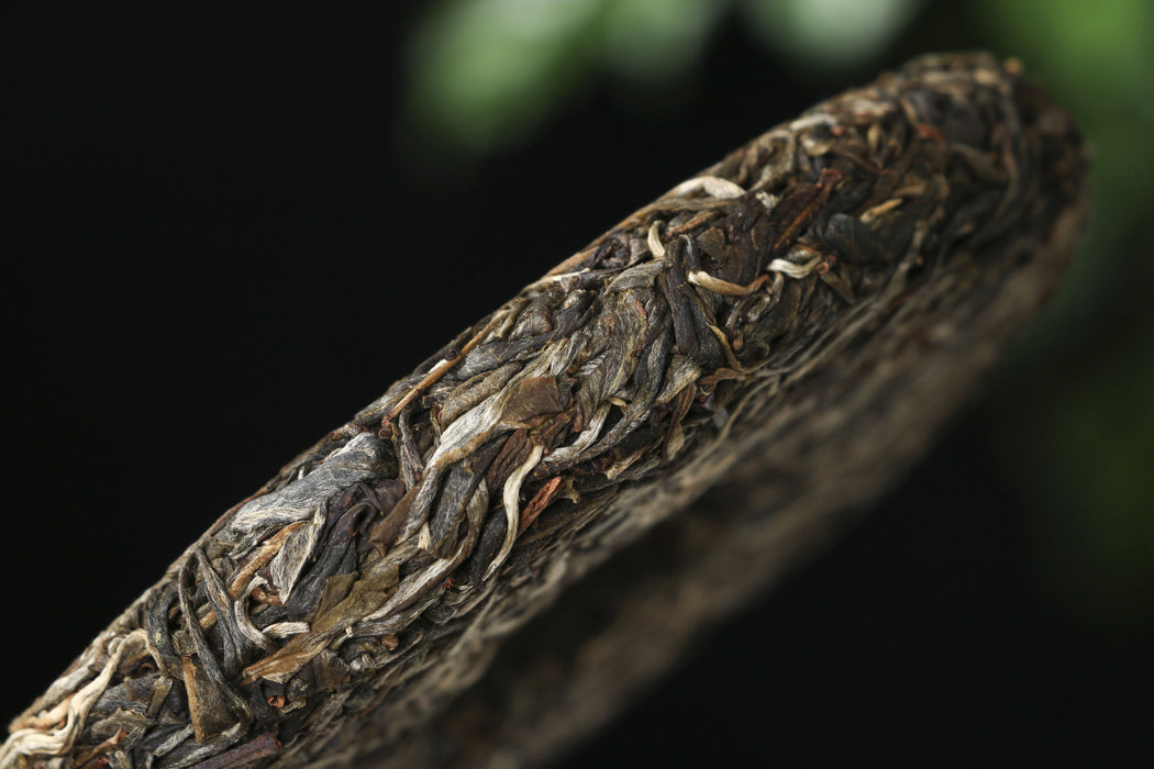 2026 Yunnan Sourcing "Ku Zhu Shan" Raw Pu-erh Tea Cake