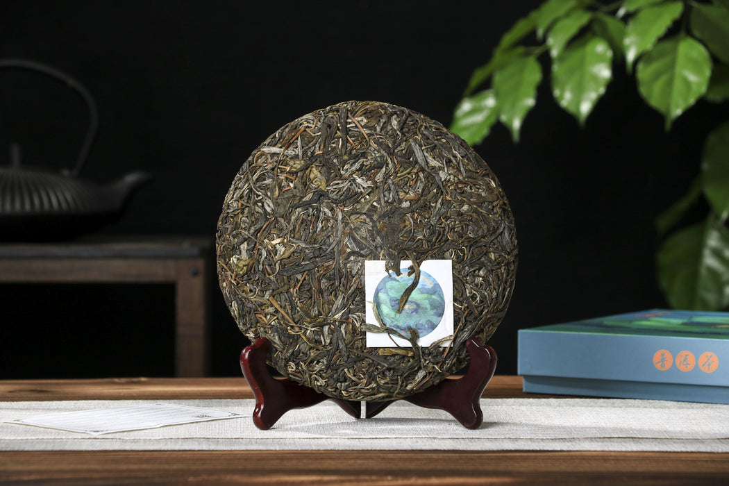2026 Yunnan Sourcing "Wu Liang Mountain" Wild Arbor Raw Pu-erh Tea Cake | Yunnan Sourcing Tea Shop
