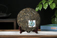 2026 Yunnan Sourcing "Wu Liang Mountain" Wild Arbor Raw Pu-erh Tea Cake | Yunnan Sourcing Tea Shop