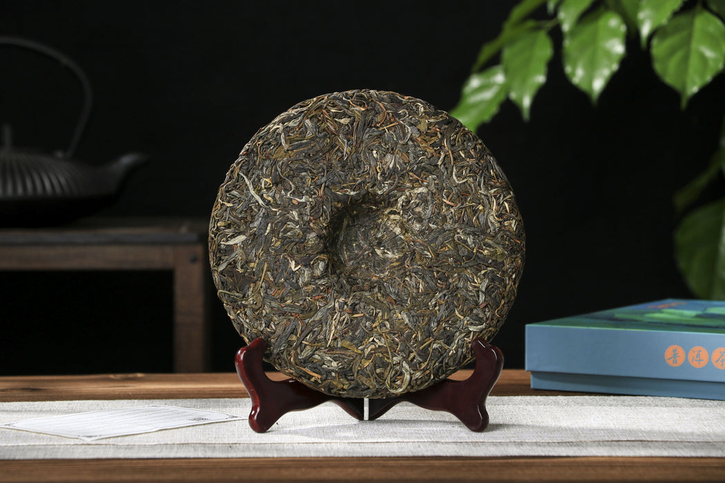 2026 Yunnan Sourcing "Wu Liang Mountain" Wild Arbor Raw Pu-erh Tea Cake | Yunnan Sourcing Tea Shop