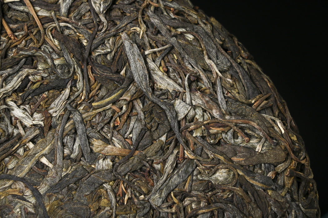 2026 Yunnan Sourcing "Wu Liang Mountain" Wild Arbor Raw Pu-erh Tea Cake | Yunnan Sourcing Tea Shop