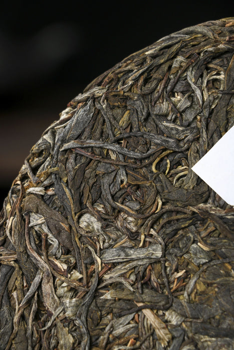 2026 Yunnan Sourcing "Wu Liang Mountain" Wild Arbor Raw Pu-erh Tea Cake | Yunnan Sourcing Tea Shop