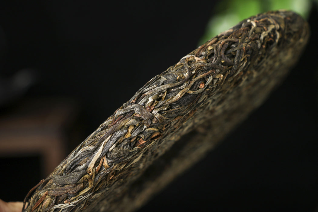 2026 Yunnan Sourcing "Wu Liang Mountain" Wild Arbor Raw Pu-erh Tea Cake | Yunnan Sourcing Tea Shop