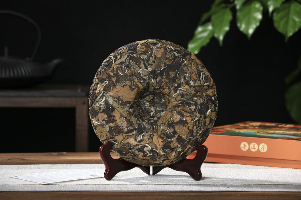 2026 Yunnan Sourcing "Wu Liang Bai Cha" Wild Arbor White Tea Cake