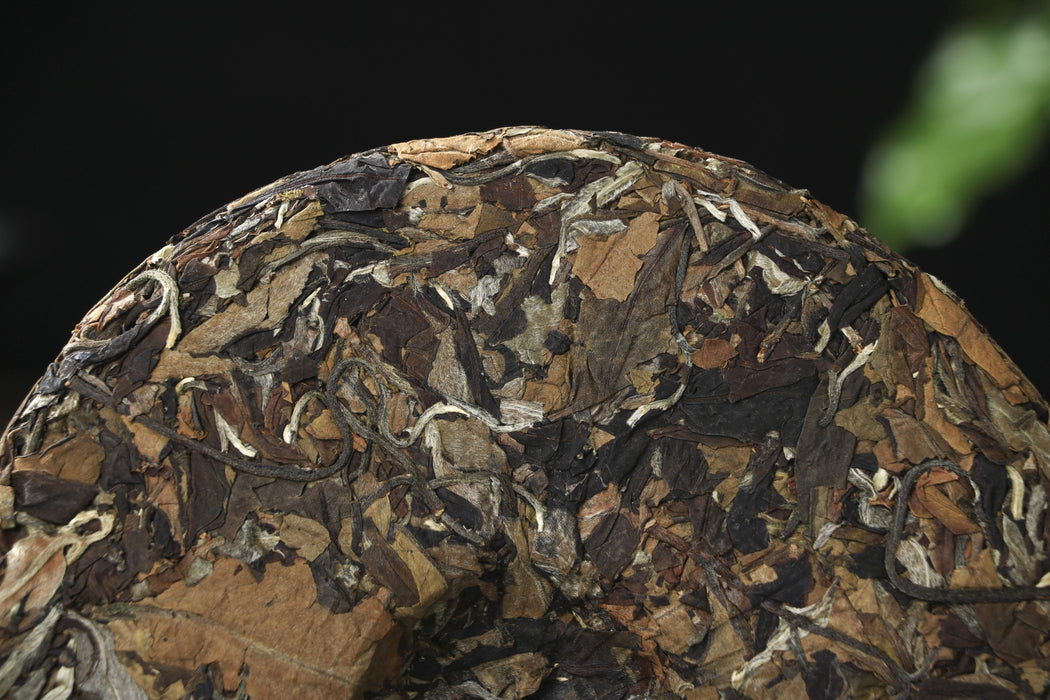 2026 Yunnan Sourcing "Wu Liang Bai Cha" Wild Arbor White Tea Cake