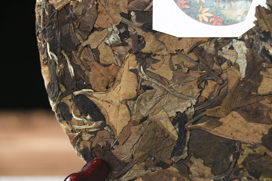 2026 Yunnan Sourcing "Wu Liang Bai Cha" Wild Arbor White Tea Cake