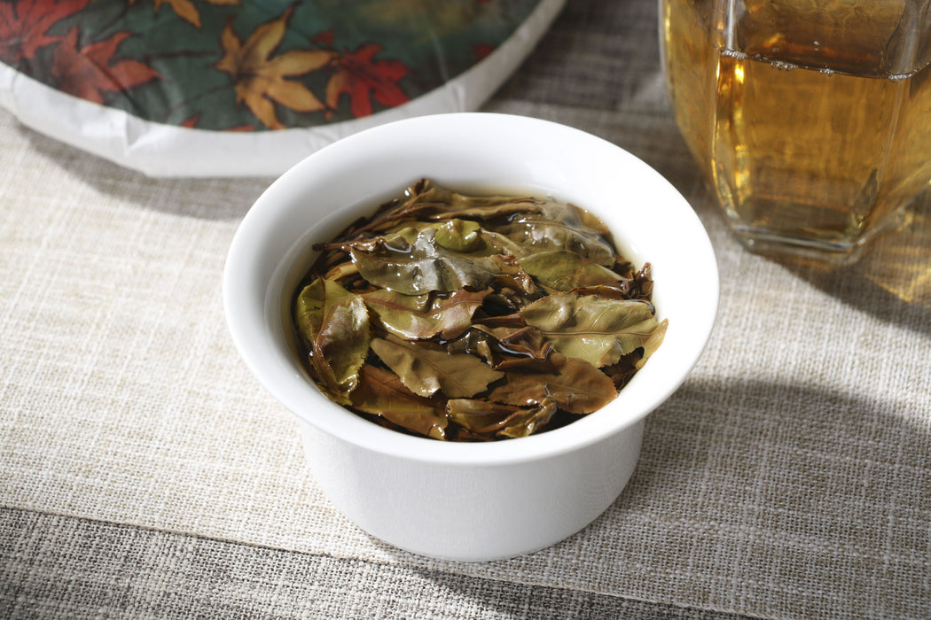 2026 Yunnan Sourcing "Wu Liang Bai Cha" Wild Arbor White Tea Cake