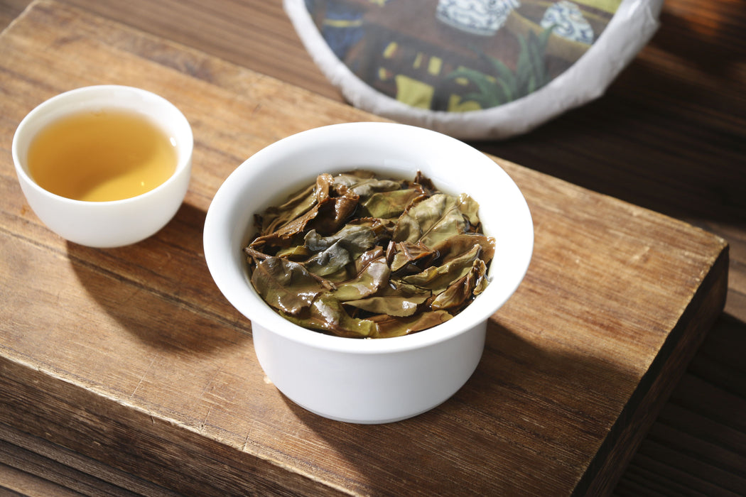 2026 Yunnan Sourcing "Jiu Tai Po Bai Cha" Old Arbor White Tea Cake