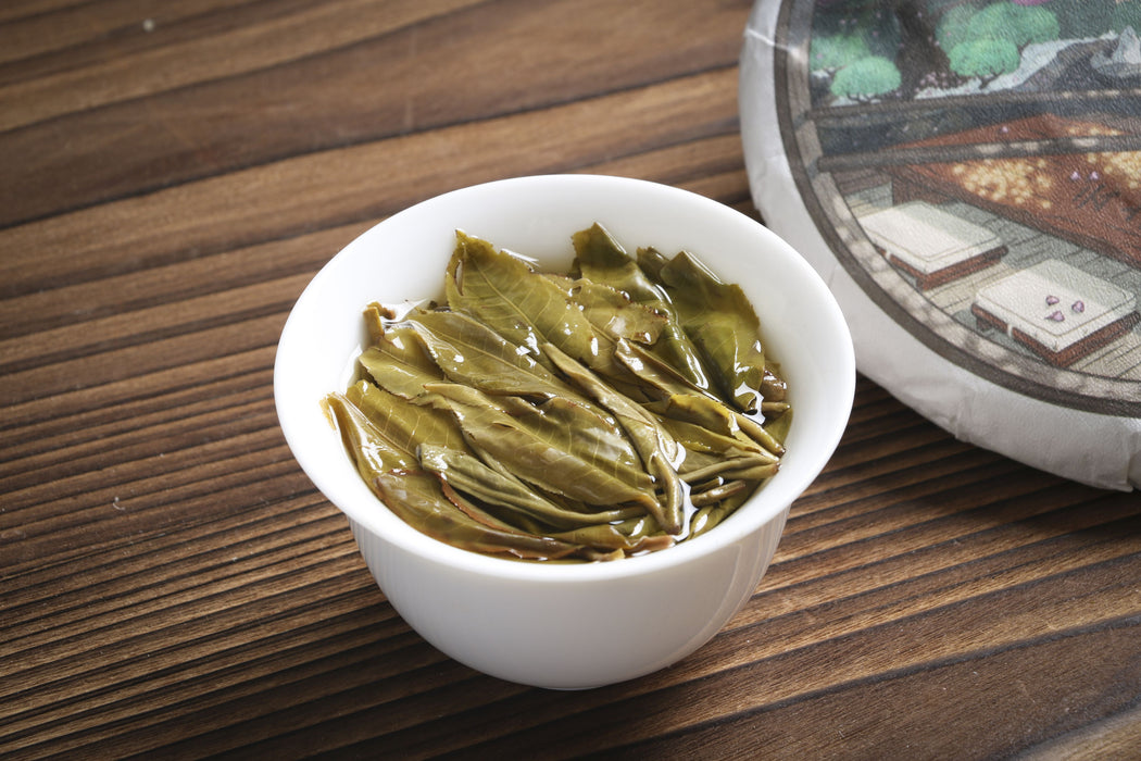 2026 Yunnan Sourcing "Jiu Tai Po" Old Arbor Raw Pu-erh Tea Cake