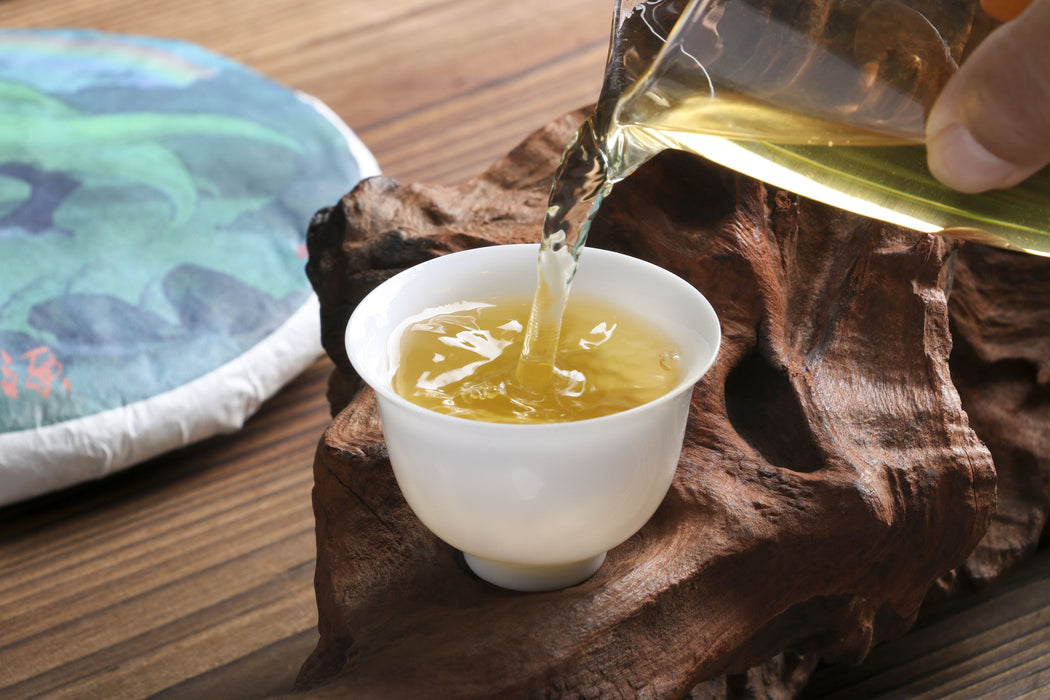 2026 Yunnan Sourcing "Wu Liang Mountain" Wild Arbor Raw Pu-erh Tea Cake | Yunnan Sourcing Tea Shop