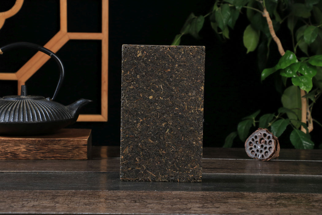 2025 Jiu Long Chi Tian Jian Fu Brick Tea | Yunnan Sourcing Tea Shop