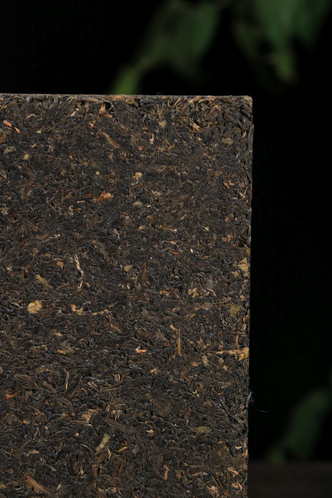 2025 Jiu Long Chi Tian Jian Fu Brick Tea | Yunnan Sourcing Tea Shop