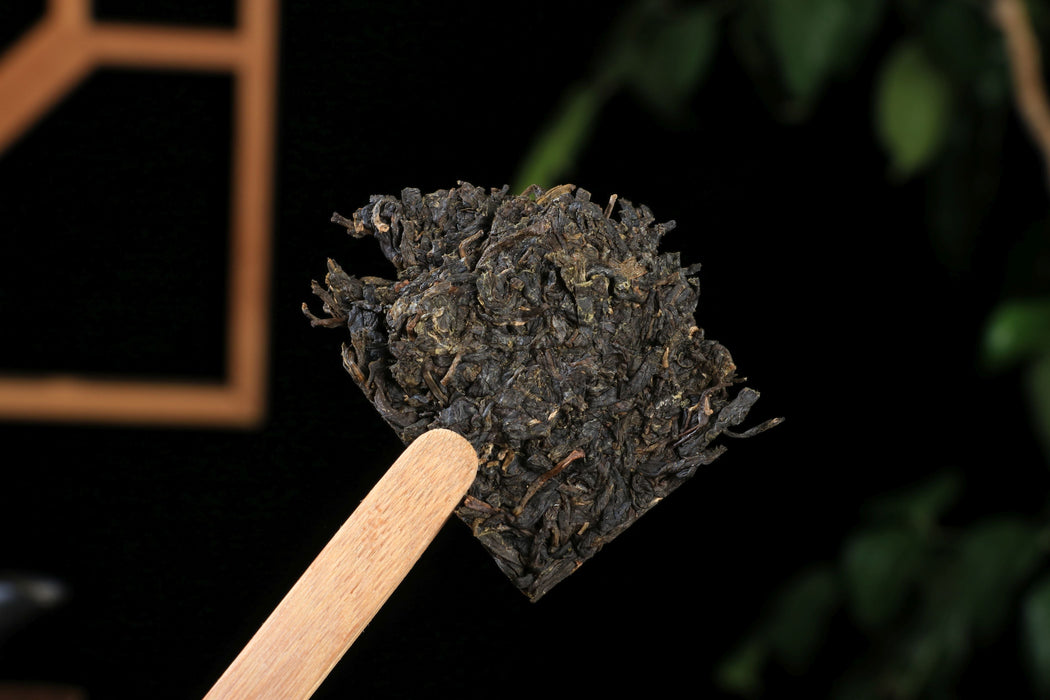 2025 Jiu Long Chi Tian Jian Fu Brick Tea | Yunnan Sourcing Tea Shop