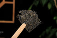 2025 Jiu Long Chi Tian Jian Fu Brick Tea | Yunnan Sourcing Tea Shop