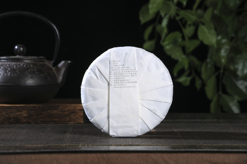 2026 Yunnan Sourcing "Wild Purple Black" of Yong De Tea Cake