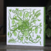 Pu-erh tea gift box with green plant design on a white background, placed on a wooden surface with a dark background.