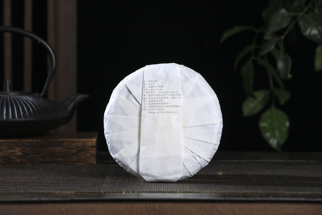 2026 Yunnan Sourcing "Purple White Tea" of Yong De Tea Cake