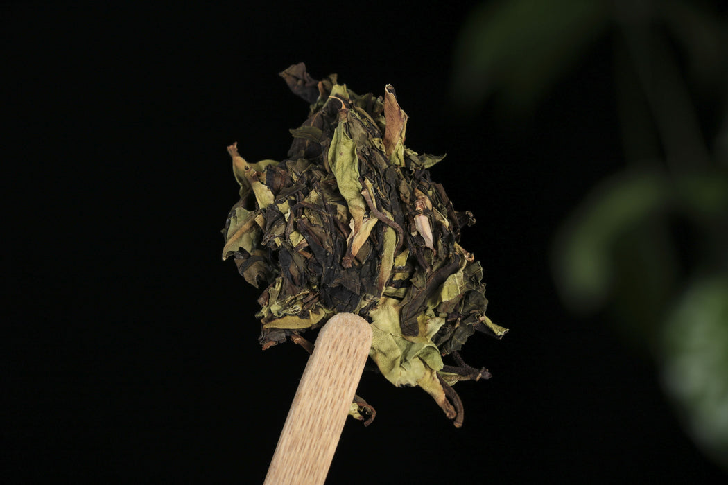 2026 Yunnan Sourcing "Purple White Tea" of Yong De Tea Cake