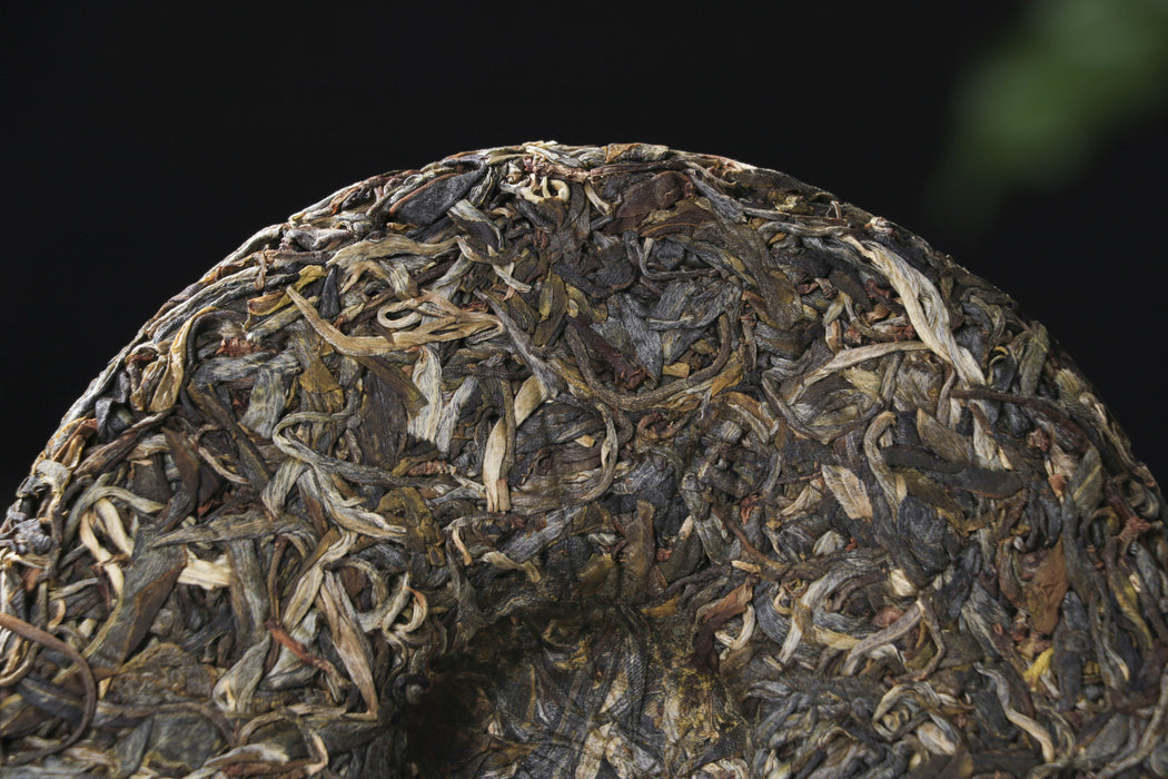 2026 Yunnan Sourcing "Da Qing Gu Shu" Raw Pu-erh Tea Cake