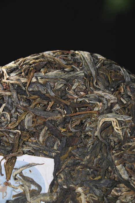 2026 Yunnan Sourcing "Da Qing Gu Shu" Raw Pu-erh Tea Cake