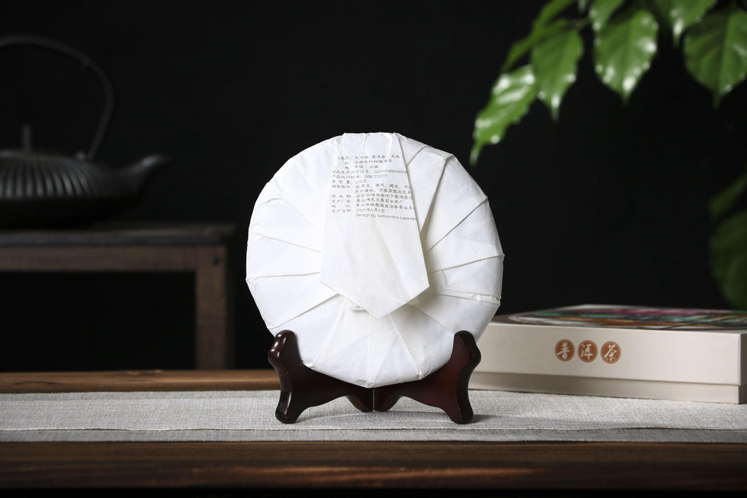 2026 Yunnan Sourcing "Jiu Tai Po" Old Arbor Raw Pu-erh Tea Cake
