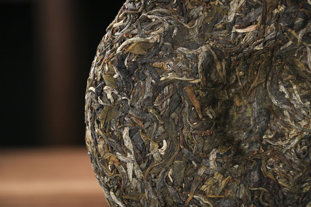 2026 Yunnan Sourcing "Jiu Tai Po" Old Arbor Raw Pu-erh Tea Cake