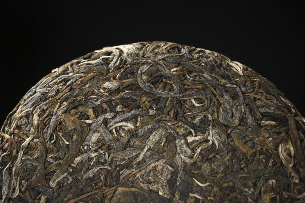 2026 Yunnan Sourcing "Jiu Tai Po" Old Arbor Raw Pu-erh Tea Cake