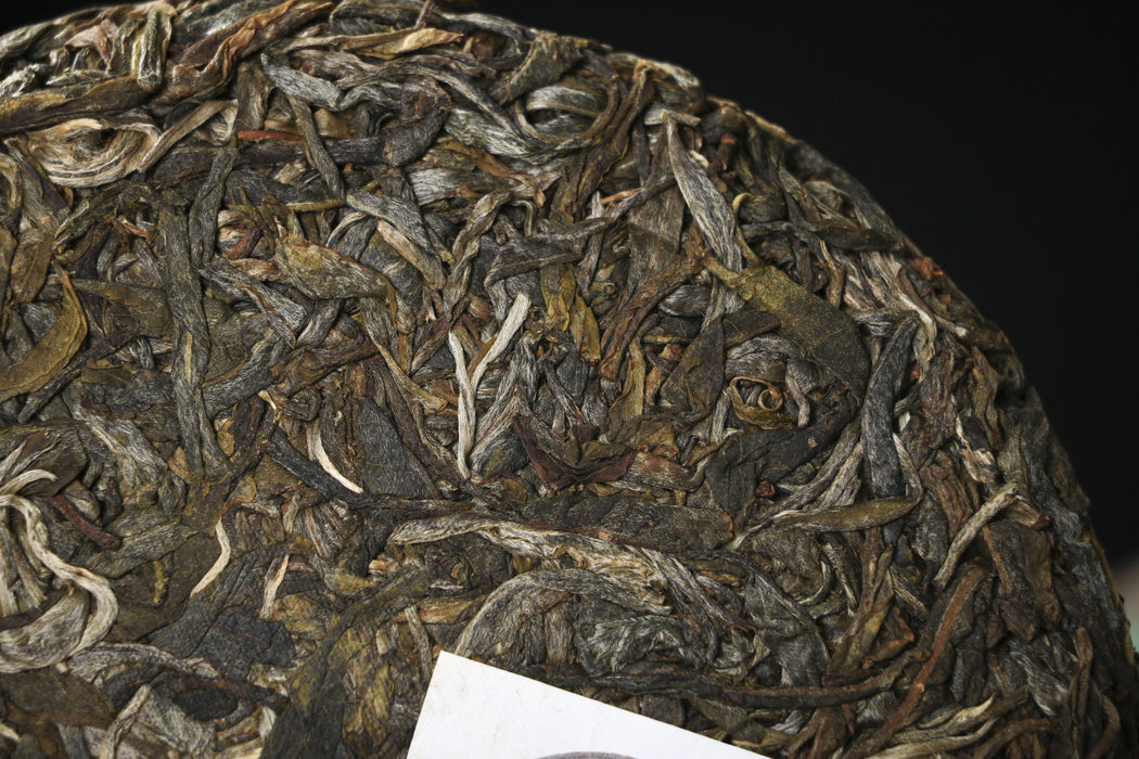 2026 Yunnan Sourcing "Jiu Tai Po" Old Arbor Raw Pu-erh Tea Cake