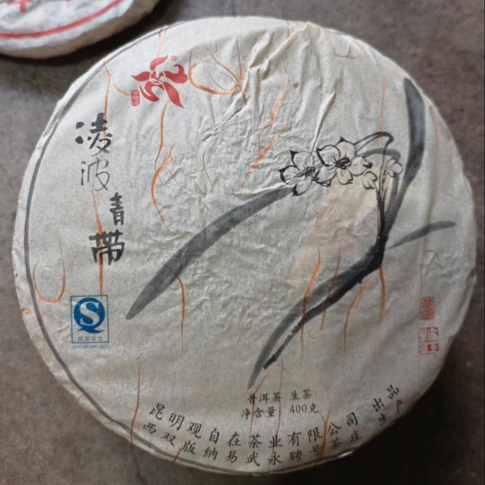 2008 Guan Zi Zai "Stone-Pressed Yi Wu" Wild Arbor tea | Yunnan Sourcing Tea Shop