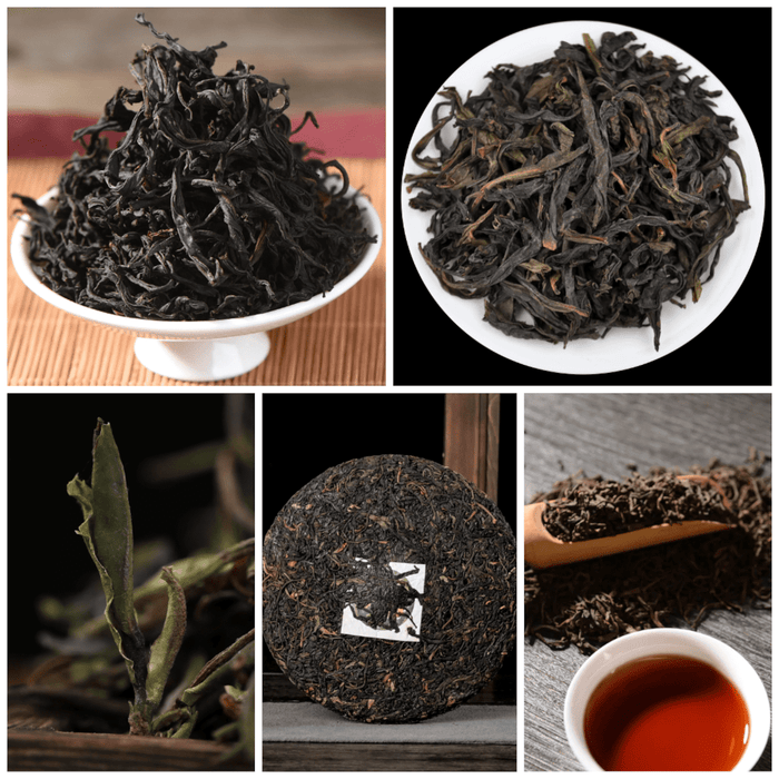 Purple Tea Sampler | Yunnan Sourcing Tea Shop