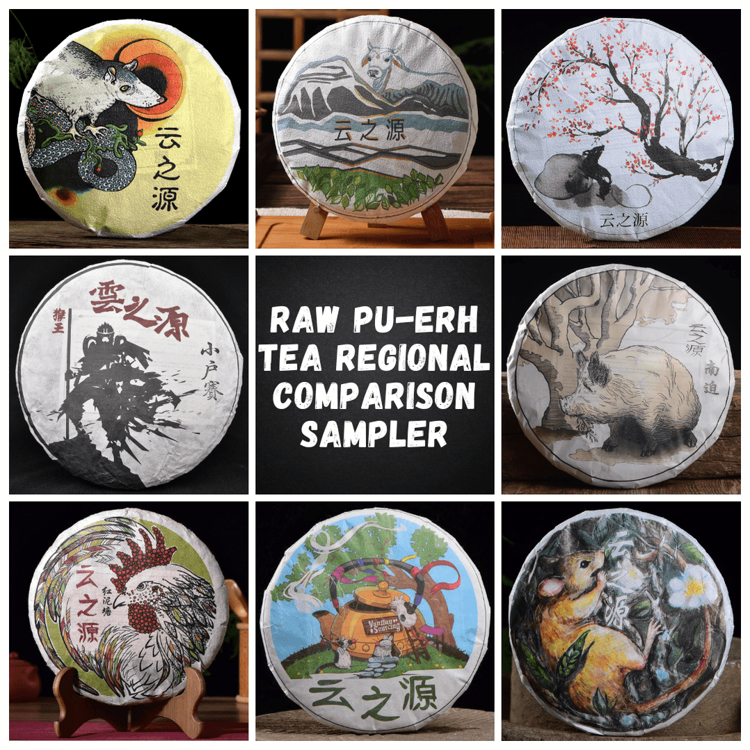 Raw Pu-erh Tea Regional Comparison Sampler Yunnan Sourcing Tea Shop