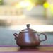 Jian Shui Clay "Scholar's Cloud Grove" Teapot by Yang Zhen | Yunnan Sourcing Tea Shop