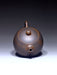 Qin Zhou Nixing Clay Teapot "Xi Shi" by Hu Ying Jia | Yunnan Sourcing Tea Shop