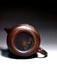 Qin Zhou Nixing Clay Teapot "Long Xian Liu Xiang" by Lu Ji Zu | Yunnan Sourcing Tea Shop