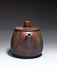 Qin Zhou Nixing Clay Teapot "Long Xian Liu Xiang" by Lu Ji Zu | Yunnan Sourcing Tea Shop