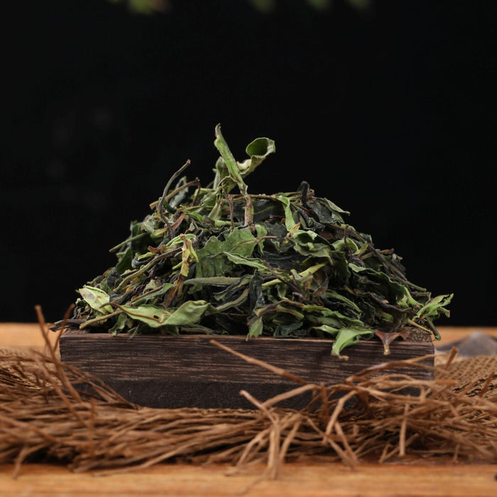 Purple Varietal "Yue Guang Bai" White Tea of Dehong