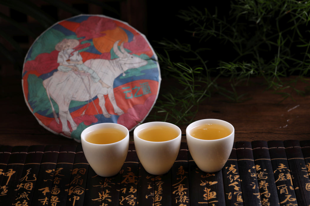 2021 Yunnan Sourcing "Zheng Qi Tang" Raw Pu-erh Tea Cake