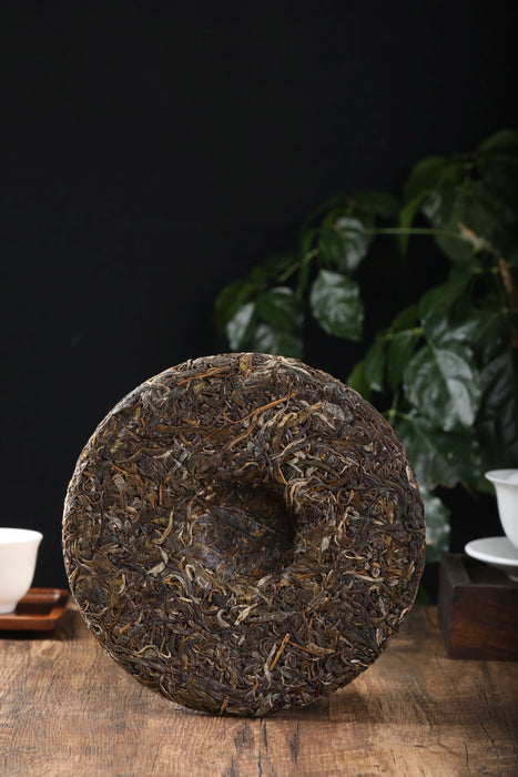 2021 Yunnan Sourcing "Huang Shan Gu Shu" Old Arbor Raw Pu-erh Tea Cake