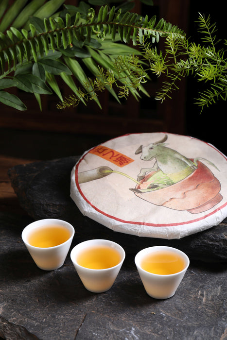 2021 Yunnan Sourcing "Shi Pian Di' Raw Pu-erh Tea Cake