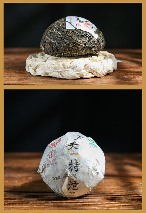 Xiaguan Jin Si Gold Ribbon Tuocha - Da Xue Shan Sheng Pu Erh Tea