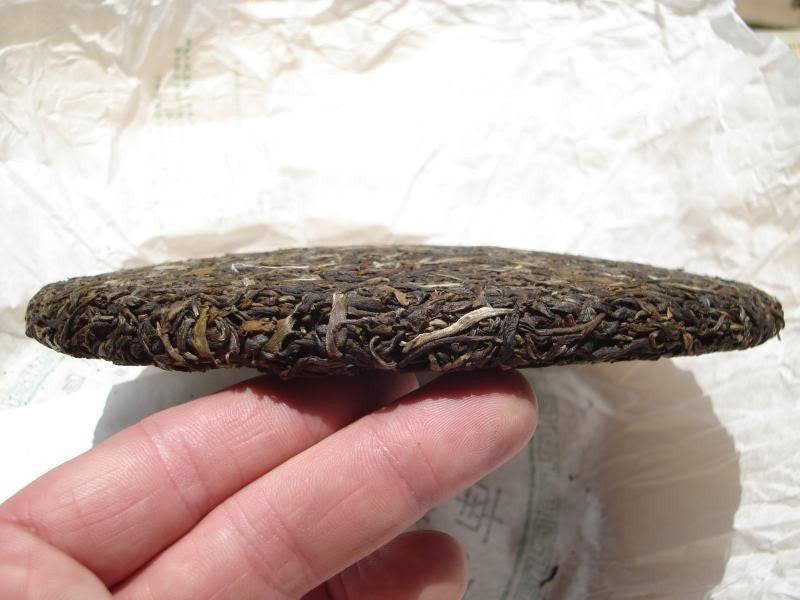 2006 Jian Shen "Bang Mai Mountain Spring Tips" Pu-erh Tea Cake | Yunnan Sourcing Tea Shop