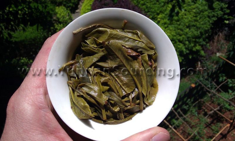 2011 Yunnan Sourcing "Mu Shu Cha" Ancient Arbor Raw Pu-erh Tea Cake