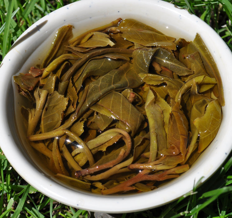2015 Yunnan Sourcing "Da Qing Gu Shu" Raw Pu-erh Tea Cake