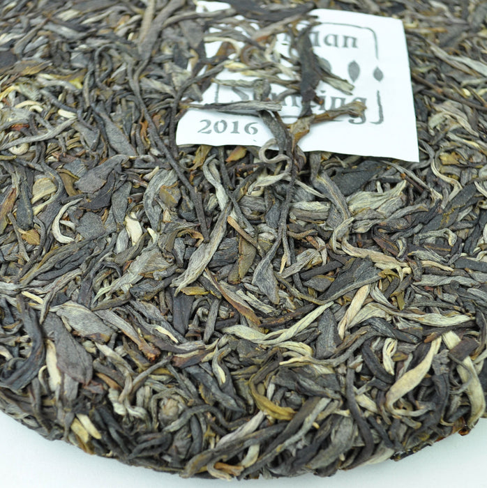 2016 Yunnan Sourcing Qing Mei Shan Old Arbor Raw Pu-erh Tea Cake