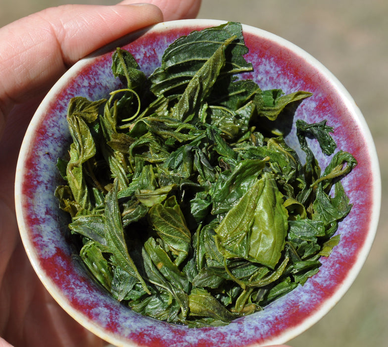 Classic "Gan Zao Ye" Wild Jujube Tea from Laoshan Village