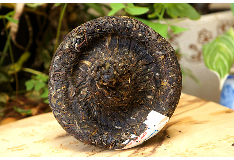 2017 Xiaguan FT "Mushroom Tuo" Raw Pu-erh Tea
