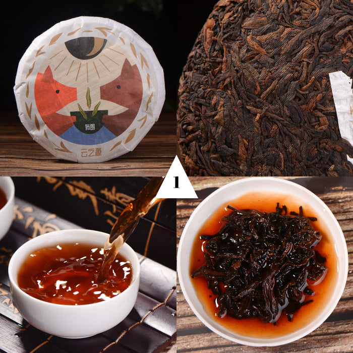Yunnan Sourcing Brand Ripe Pu-erh Tea Sampler for 2019 - Part 1