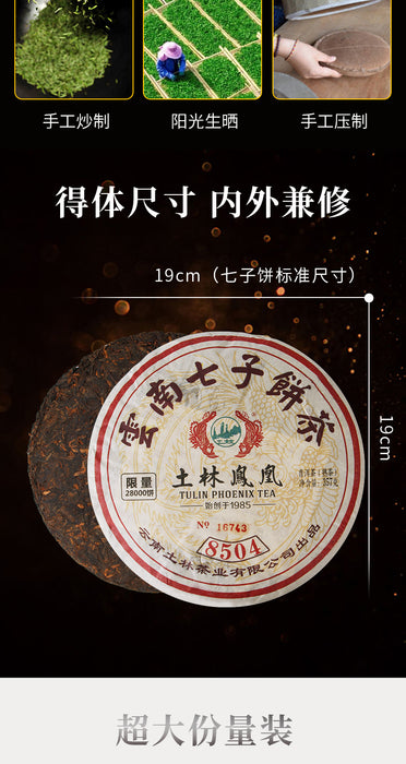 2019 Nan Jian Tu Lin 703 Ripe Pu-erh Tea Cake
