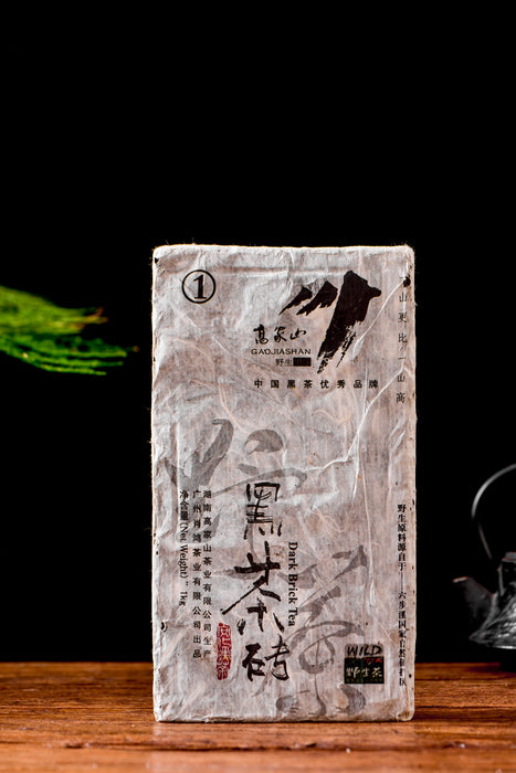 2011 Gao Jia Shan "Hei Cha Zhuan" Wild Tea of Hunan